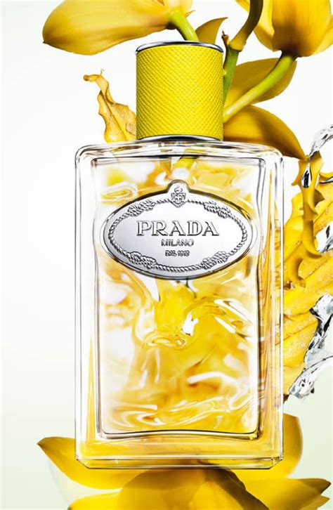 prada infusion ylang eau de parfum|prada beauty infusion d'ylang.